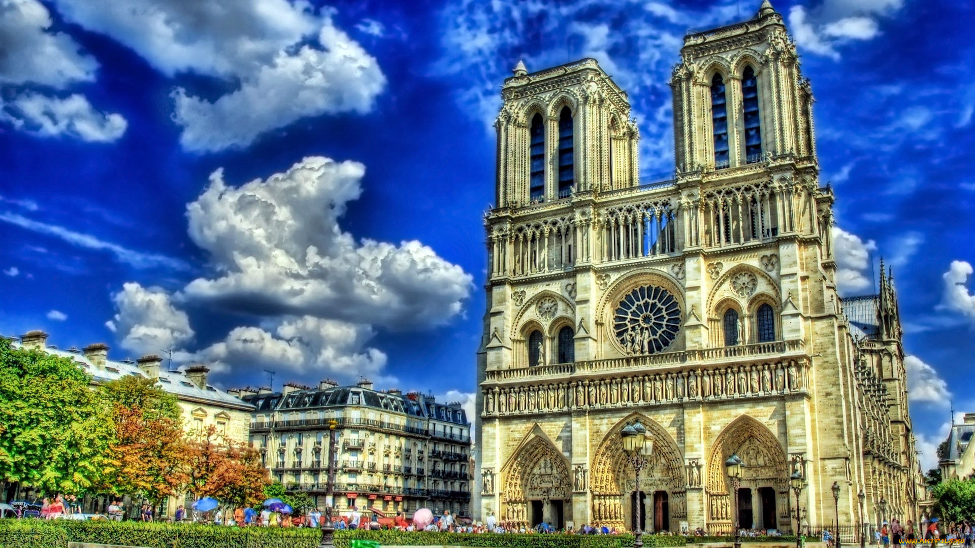 notre dame de paris, ,  , , notre, dame, de, paris